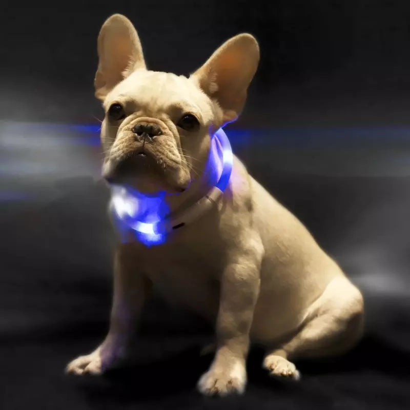 c56d4829361a396b1c7b4518a799825b